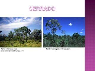 Fonte:palavrasapenas-           Fonte:tvecologica.wordpress.com
palavraspequenas.blogspot.com
 