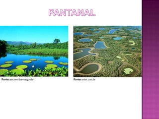 Fonte:siscom.ibama.gov.br   Fonte:soboi.com.br
 