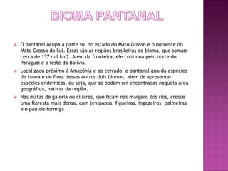    O pantanal ocupa a parte sul do estado do Mato Grosso e o noroeste do
    Mato Grosso do Sul. Essas são as regiões brasileiras do bioma, que somam
    cerca de 137 mil km2. Além da fronteira, ele continua pelo norte do
    Paraguai e o leste da Bolívia.
   Localizado próximo à Amazônia e ao cerrado, o pantanal guarda espécies
    de fauna e de flora desses outros dois biomas, além de apresentar
    espécies endêmicas, ou seja, que só podem ser encontradas naquela área
    geográfica, nativas da região.
   Nas matas de galeria ou ciliares, que ficam nas margens dos rios, cresce
    uma floresta mais densa, com jenipapos, figueiras, ingazeiros, palmeiras
    e o pau-de-formiga
 