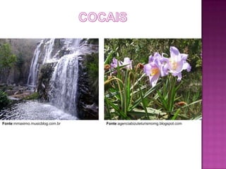 Fonte:mmaximo.musicblog.com.br   Fonte:agenciabizuteturismomg.blogspot.com
 