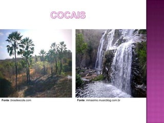 Fonte :brasilescola.com   Fonte :mmaximo.musicblog.com.br
 