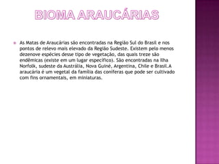    As Matas de Araucárias são encontradas na Região Sul do Brasil e nos
    pontos de relevo mais elevado da Região Sudeste. Existem pelo menos
    dezenove espécies desse tipo de vegetação, das quais treze são
    endêmicas (existe em um lugar específico). São encontradas na Ilha
    Norfolk, sudeste da Austrália, Nova Guiné, Argentina, Chile e Brasil.A
    araucária é um vegetal da família das coníferas que pode ser cultivado
    com fins ornamentais, em miniaturas.
 