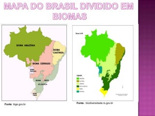 Fonte: ibge.gov.br   Fonte : biodiversidade.rs.gov.br
 