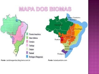 Fonte :carolinagamba.blog.terra.com.br   Fonte :luizeduardors.com
 