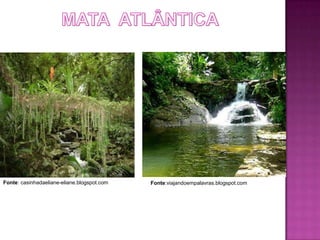 Fonte: casinhadaeliane-eliane.blogspot.com   Fonte:viajandoempalavras.blogspot.com
 