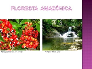 Fonte:profluizmeira.hd1.com.br   Fonte:mochileiro.tur.br
 