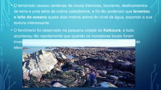 • O terramoto causou centenas de novos tremores, tsunamis, deslizamentos
de terra e uma série de outros cataclismos, e foi tão poderoso que levantou
o leito do oceano quase dois metros acima do nível da água, expondo a sua
textura interessante.
• O fenómeno foi observado na pequena cidade de Kaikoura, e tudo
aconteceu tão rapidamente que quando os moradores locais foram
investigar, ainda havia pequenos animais marinhos a rastejar pelo solo
elevado.
 