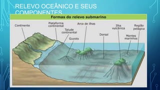 RELEVO OCEÂNICO E SEUS
COMPONENTES
 