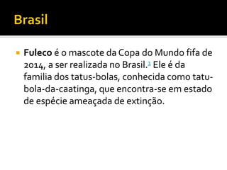  Fuleco é o mascote da Copa do Mundo fifa de 
2014, a ser realizada no Brasil.1 Ele é da 
familia dos tatus-bolas, conhecida como tatu-bola- 
da-caatinga, que encontra-se em estado 
de espécie ameaçada de extinção. 
 