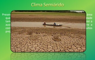 Presente principalmente na região interior do Nordeste. É uma área
que apresenta temperaturas elevadas quase todo o ano. A umidade
também é muito baixa, tornando o clima seco. É comum ocorrer a
ausência de chuvas por vários meses. É a área onde ocorre a
conhecida Seca do Nordeste, que leva muitos
prejuízos, principalmente, para a agricultura.
 