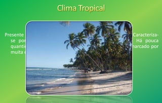 Presente nas regiões sul da Bahia e central do Maranhão. Caracteriza-
se por temperaturas elevadas durante o ano todo. Há pouca
quantidade de chuva no inverno, enquanto o verão é marcado por
muita chuva.
 