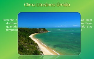 Presente na região litorânea do Nordeste. As chuvas são bem
distribuídas durante o ano todo, embora no verão chova em maior
quantidade em função da alta evaporação. O clima é úmido e as
temperaturas são mais elevadas no verão do que no inverno.
 