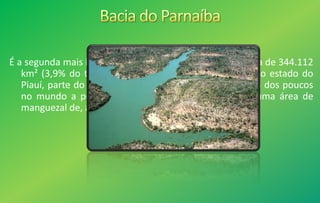 É a segunda mais importante, ocupando uma área de cerca de 344.112
km² (3,9% do território nacional) e drena quase todo o estado do
Piauí, parte do Maranhão e Ceará. O rio Parnaíba é um dos poucos
no mundo a possuir um delta em mar aberto, com uma área de
manguezal de, aproximadamente, 2.700 km².
 