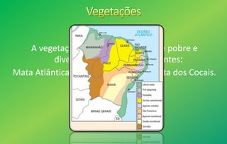 A vegetação nordestina é bastante pobre e
diversificada são predominantes:
Mata Atlântica,Caatinga, Cerrado e Mata dos Cocais.
 