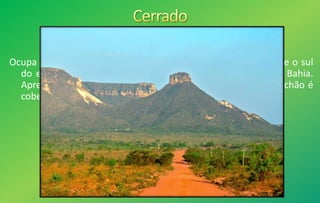Ocupa 25% do território brasileiro, mas no Nordeste só abrange o sul
do estado do Maranhão, o sudoeste do Piauí e o oeste da Bahia.
Apresenta árvores de baixo porte, com galhos retorcidos. O chão é
coberto por gramíneas. O solo é de alta acidez.
 