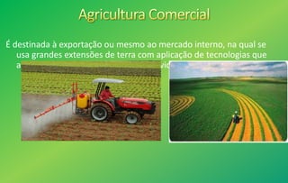 É destinada à exportação ou mesmo ao mercado interno, na qual se
usa grandes extensões de terra com aplicação de tecnologias que
alcançam elevados índices de produtividade.
 