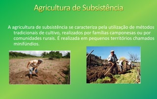 A agricultura de subsistência se caracteriza pela utilização de métodos
tradicionais de cultivo, realizados por famílias camponesas ou por
comunidades rurais. É realizada em pequenos territórios chamados
minifúndios.
 