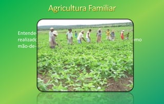 Entende-se por agricultura familiar o cultivo da terra
realizado por pequenos proprietários rurais, tendo como
mão-de-obra essencialmente o núcleo familiar
 