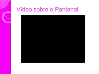 Vídeo sobre o Pantanal
 