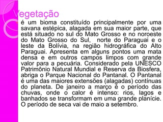 Vegetação
 é um bioma constituído principalmente por uma
savana estépica, alagada em sua maior parte, que
está situado no sul do Mato Grosso e no noroeste
do Mato Grosso do Sul, norte do Paraguai e o
leste da Bolívia, na região hidrográfica do Alto
Paraguai. Apresenta em alguns pontos uma mata
densa e em outros campos limpos com grande
valor para a pecuária. Considerado pela UNESCO
Patrimônio Natural Mundial e Reserva da Biosfera,
abriga o Parque Nacional do Pantanal. O Pantanal
é uma das maiores extensões (alagadas) contínuas
do planeta. De janeiro a março é o período das
chuvas, onde o calor é intenso: rios, lagos e
banhados se transformam em uma grande planície.
O período de seca vai de maio a setembro.
 