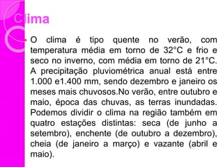 Clima
 O clima é tipo quente no verão, com
temperatura média em torno de 32°C e frio e
seco no inverno, com média em torno de 21°C.
A precipitação pluviométrica anual está entre
1.000 e1.400 mm, sendo dezembro e janeiro os
meses mais chuvosos.No verão, entre outubro e
maio, época das chuvas, as terras inundadas.
Podemos dividir o clima na região também em
quatro estações distintas: seca (de junho a
setembro), enchente (de outubro a dezembro),
cheia (de janeiro a março) e vazante (abril e
maio).
 
