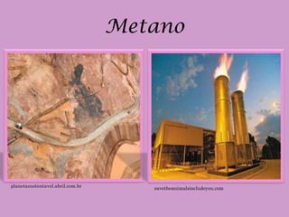 Metano




planetasustentavel.abril.com.br      savetheanimalsincludeyou.com
 