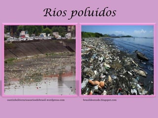 Rios poluídos




cantinholiterariososriosdobrasil.wordpress.com   brasildesnudo.blogspot.com
 