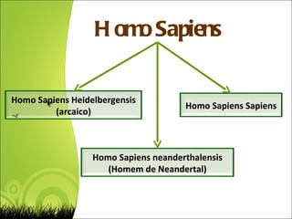 Homo Sapiens Homo Sapiens Heidelbergensis (arcaico) Homo Sapiens Sapiens Homo Sapiens neanderthalensis (Homem de Neandertal) 
