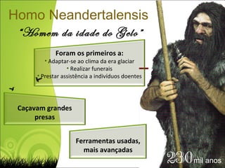 Homo Neandertalensis “ Homem da idade do Gelo” 230 mil anos Caçavam grandes presas Ferramentas usadas, mais avançadas Foram os primeiros a: Adaptar-se ao clima da era glaciar Realizar funerais Prestar assistência a indivíduos doentes 