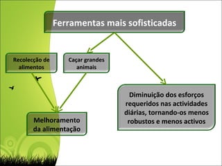 Ferramentas mais sofisticadas Caçar grandes animais Recolecção de alimentos Melhoramento da alimentação Diminuição dos esforços requeridos nas actividades diárias, tornando-os menos robustos e menos activos 
