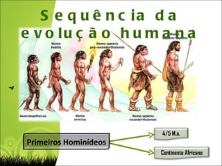 Sequência da evolução humana Continente Africano 4/5 M.a. Primeiros Hominídeos 