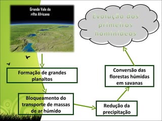 Grande Vale do rifte Africano Formação de grandes planaltos Bloqueamento do transporte de massas de ar húmido Redução da precipitação Conversão das florestas húmidas em savanas 