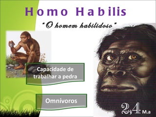 2,4   M.a Homo Habilis “ O homem habilidoso” Capacidade de trabalhar a pedra 