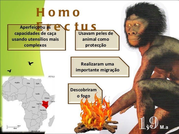Resultado de imagem para migração do homo erectus