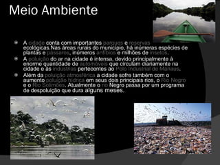 Meio Ambiente A  cidade  conta com importantes  parques  e  reservas  ecológicas.Nas áreas rurais do município, há inúmeras espécies de plantas e  pássaros , inúmeros  anfíbios  e milhões de  insetos . A  poluição  do ar na cidade é intensa, devido principalmente à enorme quantidade de  automóveis  que circulam diariamente na cidade e às  indústrias  pertecentes ao  Polo Industrial de Manaus . Além da  poluição atmosférica  a cidade sofre também com o aumento  poluição hídrica  em seus dois principais rios, o  Rio Negro  e o  Rio Solimões . Atualmente o  rio  Negro passa por um programa de despoluição que dura  alguns meses. 