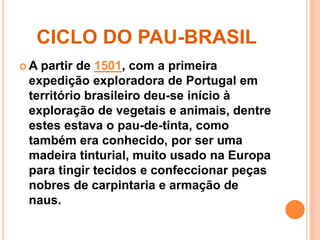 CICLO DO PAU-BRASIL 
A partir de 1501, com a primeira 
expedição exploradora de Portugal em 
território brasileiro deu-se início à 
exploração de vegetais e animais, dentre 
estes estava o pau-de-tinta, como 
também era conhecido, por ser uma 
madeira tinturial, muito usado na Europa 
para tingir tecidos e confeccionar peças 
nobres de carpintaria e armação de 
naus. 
 