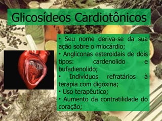 Glicosídeos Cardiotônicos Seu nome deriva-se da sua ação sobre o miocárdio; Angliconas esteroidais de dois tipos: cardenolido e bufadienolido; Indivíduos refratários à terapia com digoxina; Uso terapêutico; Aumento da contratilidade do coração;  