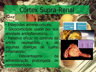 Córtex Supra-Renal Esteróides adrenocorticais; Glicocorticóide usado por sua atividade antiinflamatória; Paliativo eficaz no controle da artrite reumatóide e de algumas doenças de cunho inflamatório; Desvantagens da administração prolongada de corticosteróides. 