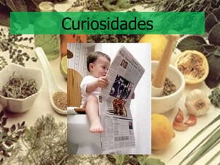 Curiosidades 