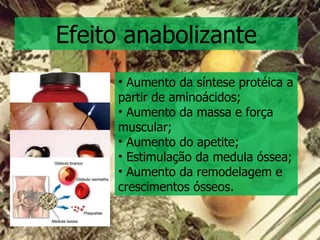 Efeito anabolizante Aumento da síntese protéica a partir de aminoácidos; Aumento da massa e força muscular; Aumento do apetite; Estimulação da medula óssea; Aumento da remodelagem e crescimentos ósseos.  