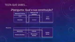 TESTA QUE SABES...
2ºpergunta: Qual a sua constituição?
Moléculas Proteicas
+
Moléculas não
proteicas
= ?????
(Ativa)
????? ?????
(Inactiva) (Inativa)
Enzima
(Ativa)
Apoenzima
+
Cofactor
=
Proteíca (Inactiva)
Não proteica
(Inativa)
Resposta:
 