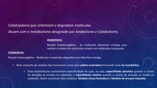 FUNÇÃO ENZIMÁTICA
Anabolismo:
Reação Endoenergética - As moléculas absorvem energia para
realizar a síntese de moléculas simples em moléculas compostas.
Catalizadores que sintetizam e degradam moléculas.
Atuam com o metabolismo designado por Anabolismo e Catabolismo.
Catabolismo:
Reação Exoenergética - Moléculas compostas degradam-se e libertam energia.
• Num conjunto de reações elas funcionam como uma cadeia enzimática formando uma via metabólica.
• Estas biomoléculas apresentam especificidade de ação, ou seja, especifidade absoluta quando o centro
de ativação se encaixa no substrato; e especifidade relativa quando o centro de ativação se molda ao
substrato. Assim cresceram dois modelos: Modelo chave-fechadura e Modelo de encaixe induzido.
 