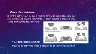 MODELOS DE LIGAÇÃO ENZIMA-SUBSTRATO
• Modelo chave-fechadura:
O centro activo tem de ter a mesma forma do substrato, para que
este encaixe na enzima facilmente. E assim resulta o produto final.
Tendo esta especifidade absoluta.
• Modelo encaixe induzido:
O centro de activação tende a adaptar-se ao sbstrato pretendido
 