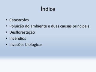 Índice
• Catastrofes
• Poluição do ambiente e duas causas principais
• Desflorestação
• Incêndios
• Invasões biológicas
 