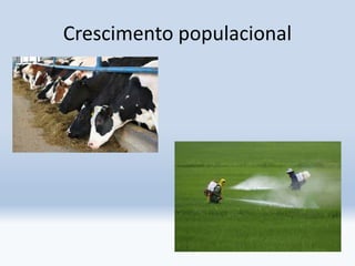 Crescimento populacional
 
