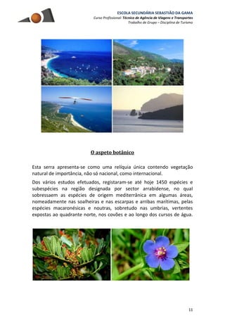 ESCOLA SECUNDÁRIA SEBASTIÃO DA GAMA
Curso Profissional: Técnico de Agência de Viagens e Transportes
Trabalho de Grupo – Disciplina de Turismo
11
O aspeto botânico
Esta serra apresenta-se como uma relíquia única contendo vegetação
natural de importância, não só nacional, como internacional.
Dos vários estudos efetuados, registaram-se até hoje 1450 espécies e
subespécies na região designada por sector arrabidense, no qual
sobressaem as espécies de origem mediterrânica em algumas áreas,
nomeadamente nas soalheiras e nas escarpas e arribas marítimas, pelas
espécies macaronésicas e noutras, sobretudo nas umbrias, vertentes
expostas ao quadrante norte, nos covões e ao longo dos cursos de água.
 
