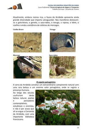 ESCOLA SECUNDÁRIA SEBASTIÃO DA GAMA
Curso Profissional: Técnico de Agência de Viagens e Transportes
Trabalho de Grupo – Disciplina de Turismo
13
Atualmente, embora menos rica, a fauna da Arrábida apresenta ainda
grande diversidade que importa salvaguardar. Nos mamíferos destacam-
se o gato-bravo, o geneto, o saca-rabos, o texugo, a raposa, a lebre, o
coelho e ainda a existência de colónias de morcegos.
Coelho Bravo Texugo
Morcego Saca-rabos
O aspeto paisagístico
A serra da Arrábida constitui um extraordinário componente natural com
uma rara beleza e um enorme valor paisagístico, onde se regista a
presença Humana.
Ao longo dos séculos
usufruíram desta
beleza natural, poetas
e pensadores
contemplativos,
estudiosos e eremitas,
e não é por acaso que
ali se ergue o Convento
da Arrábida, com uma
importante biblioteca
franciscana.
 