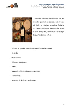 ESCOLA SECUNDÁRIA SEBASTIÃO DA GAMA
Curso Profissional: Técnico de Agência de Viagens e Transportes
Trabalho de Grupo – Disciplina de Turismo
24
O vinho da Península de Setúbal é um dos
produtos que mais se destaca, nas diversas
atividades praticadas, na quinta. Todavia,
os produtos exclusivos, são também o mel,
os ovos e os patos, as laranjas e os queijos
de ovelhas de raça Saloia.
Contudo, os géneros utilizados que mais se destacam são:
- Castelão;
- Trincadeira;
- Cabernet Sauvignon;
- Syhra;
- Aragonês e Alicante Bouchet, nas tintas;
- Fernão Pires;
- Moscatel de Setúbal, nas Brancas.
 