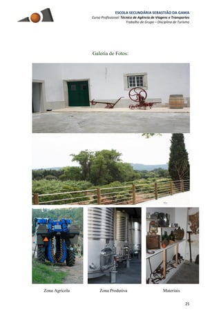 ESCOLA SECUNDÁRIA SEBASTIÃO DA GAMA
Curso Profissional: Técnico de Agência de Viagens e Transportes
Trabalho de Grupo – Disciplina de Turismo
25
Galeria de Fotos:
Zona Agrícola Zona Produtiva Materiais
 