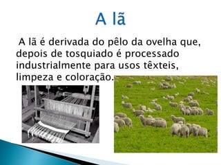 A lã é derivada do pêlo da ovelha que,
depois de tosquiado é processado
industrialmente para usos têxteis,
limpeza e coloração.
 